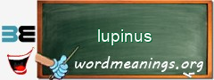 WordMeaning blackboard for lupinus